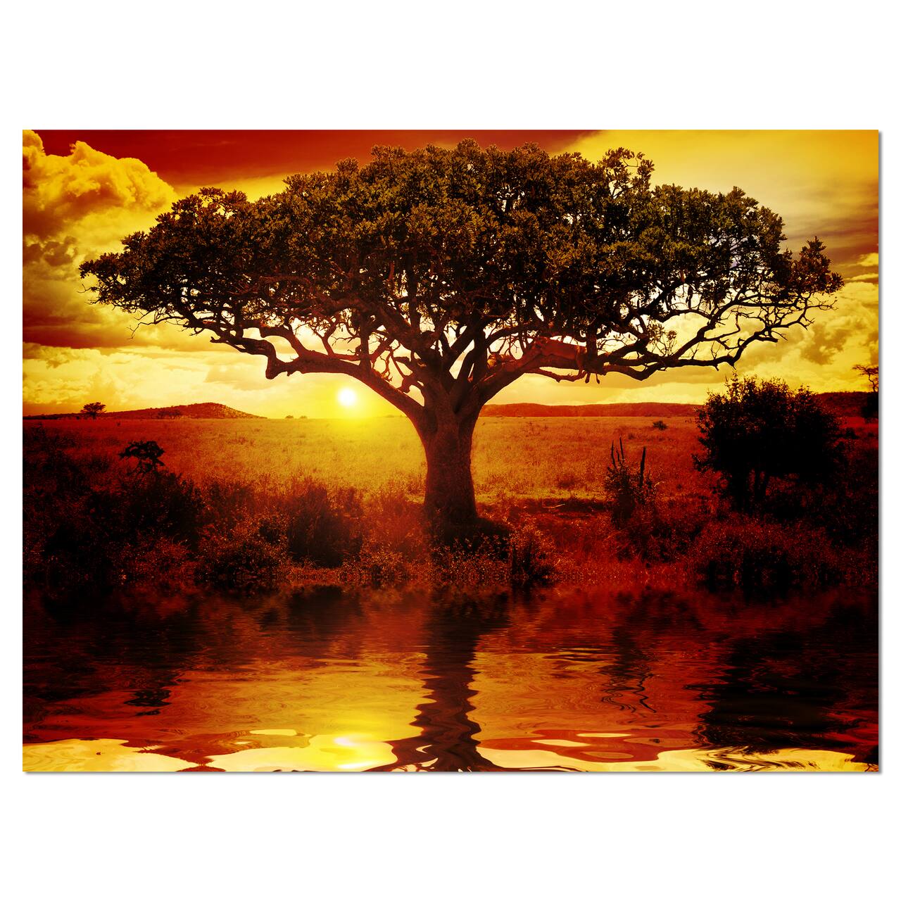 Designart - Lonely Tree in African Sunset - Oversized African Landscape Canvas Art
